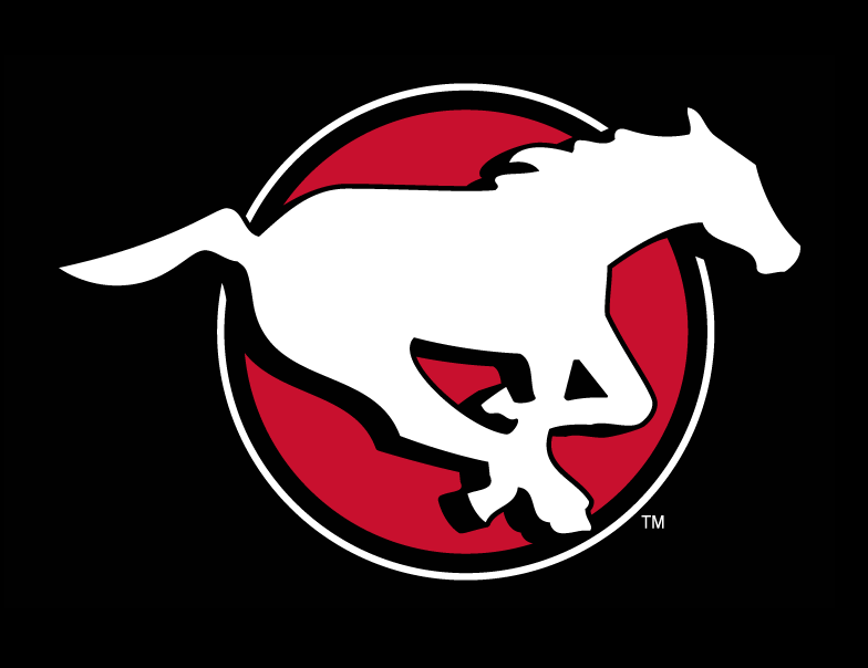 calgary stampeders 2012-pres alternate logo v2 iron on transfers for T-shirts